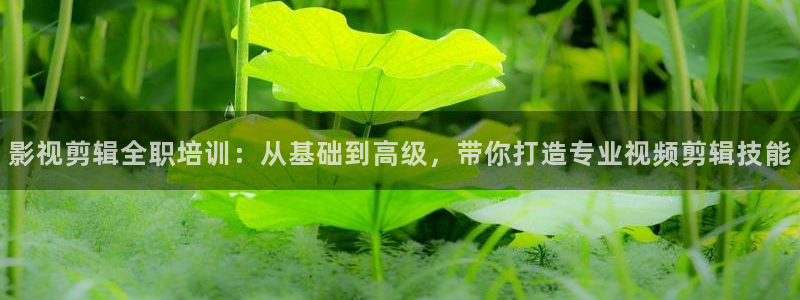 遮天全能影视