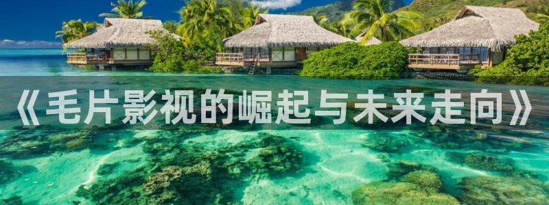 全能影视剧在线观看