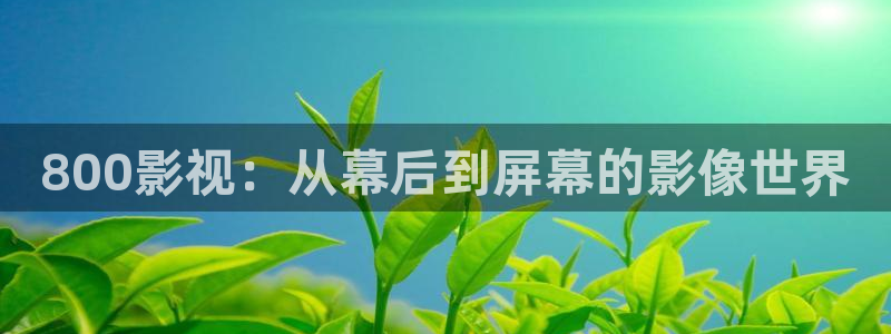 全能的影视软件