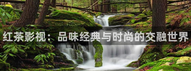 全能影视免费观看官网