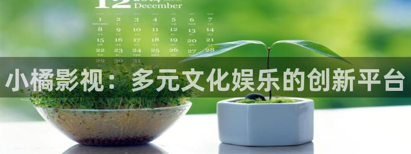 全能影视 官网